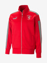 Puma Sweatshirt