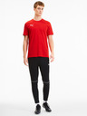 Puma Team Goal T-shirt