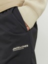 Jack & Jones Karl Долнище