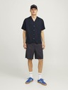 Jack & Jones Aaron Риза