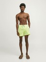 Jack & Jones Fiji Swimsuit