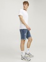 Jack & Jones Rick Къси панталони