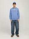 Jack & Jones Henry Sweatshirt