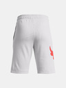 Under Armour UA Project Rock Terry Къси панталони детски