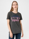 SuperDry Wilderness T-shirt