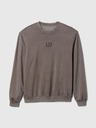 GAP Sweatshirt