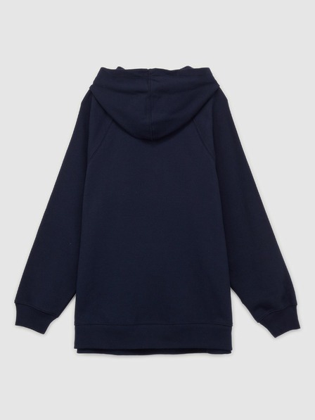 GAP Sweatshirt