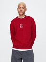 GAP Sweatshirt