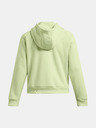 Under Armour UA Armour Flc Pro Hdy Sweatshirt